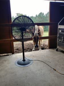 barn fan