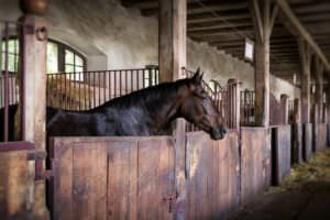 barn fans for horses